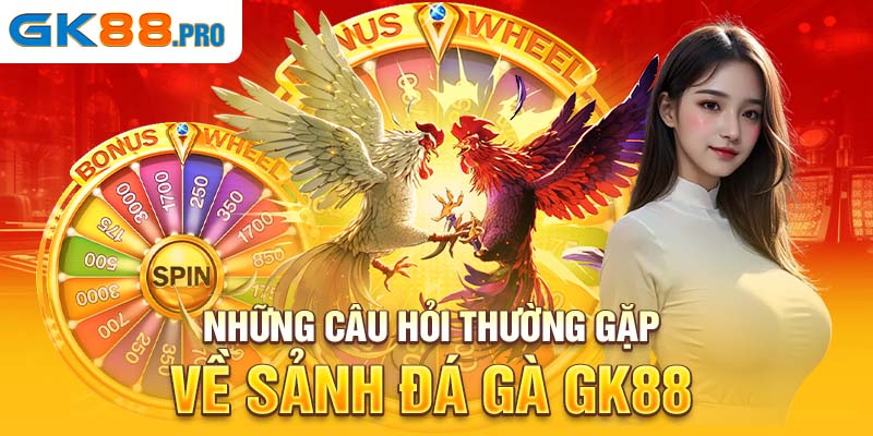 Những câu hỏi thường gặp về sảnh đá gà