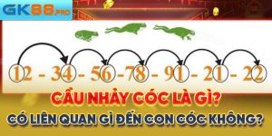 cầu nhảy cóc là gì