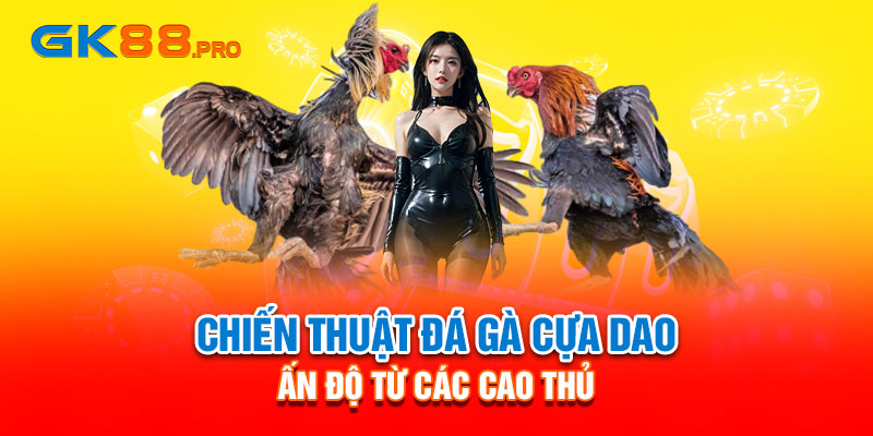 Chiến thuật đá gà cựa dao ấn độ từ các cao thủ