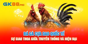 đá gà cựa dao quốc tế